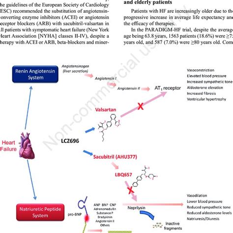 Sacubitril: Uses, Interactions, Mechanism of Action .